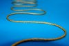 Obrázek zboží: Vlaječková šňůrka šíře 2 mm